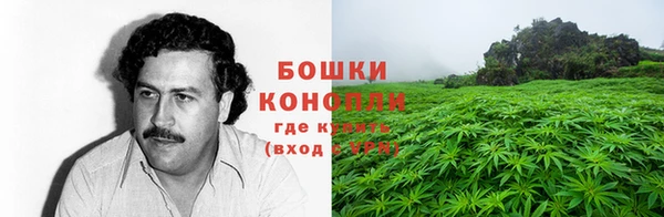 молекула духа Беломорск